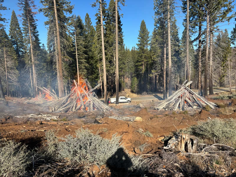 Terra Fuego Resource Foundation