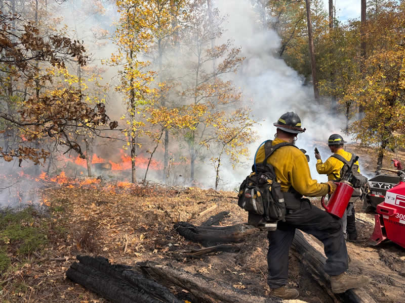 Terra Fuego Resource Foundation
