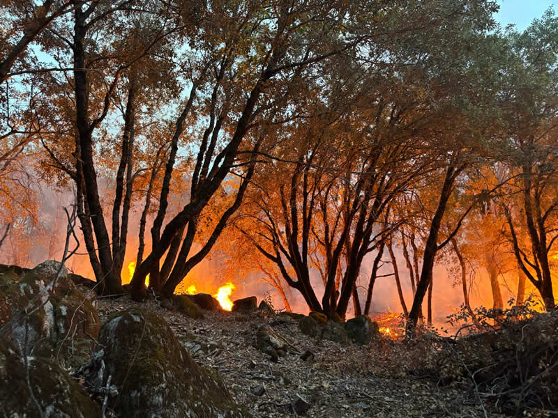 Terra Fuego Resource Foundation
