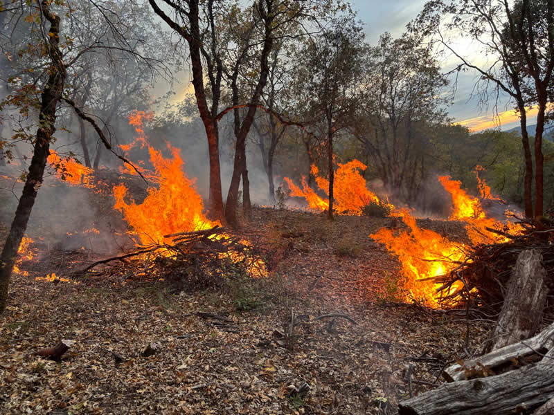 Terra Fuego Resource Foundation