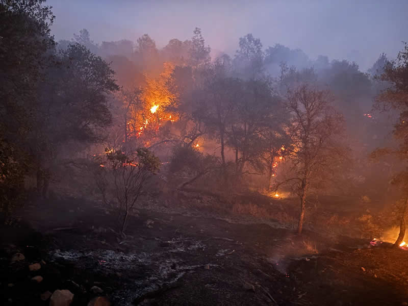 Terra Fuego Resource Foundation