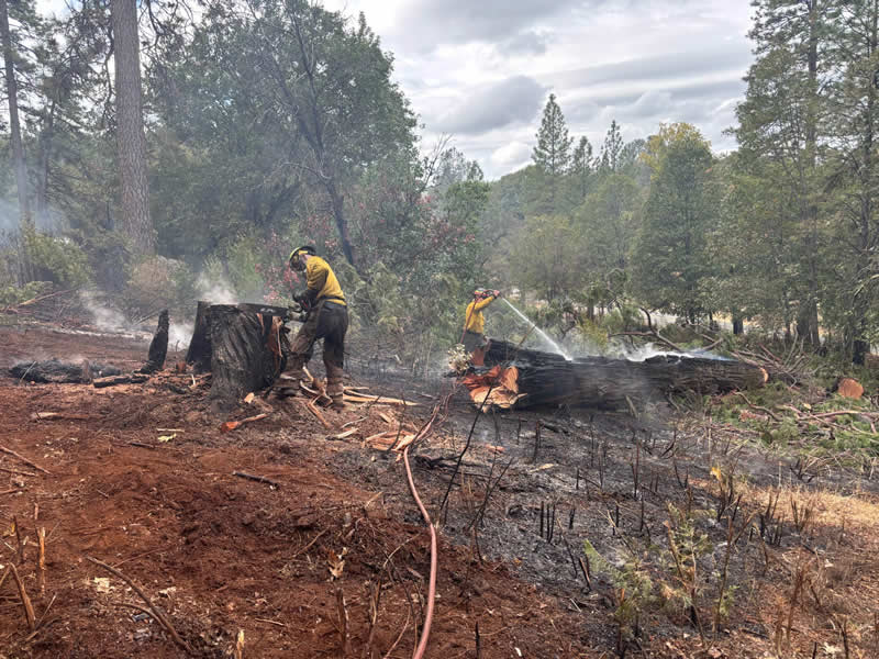 Terra Fuego Resource Foundation