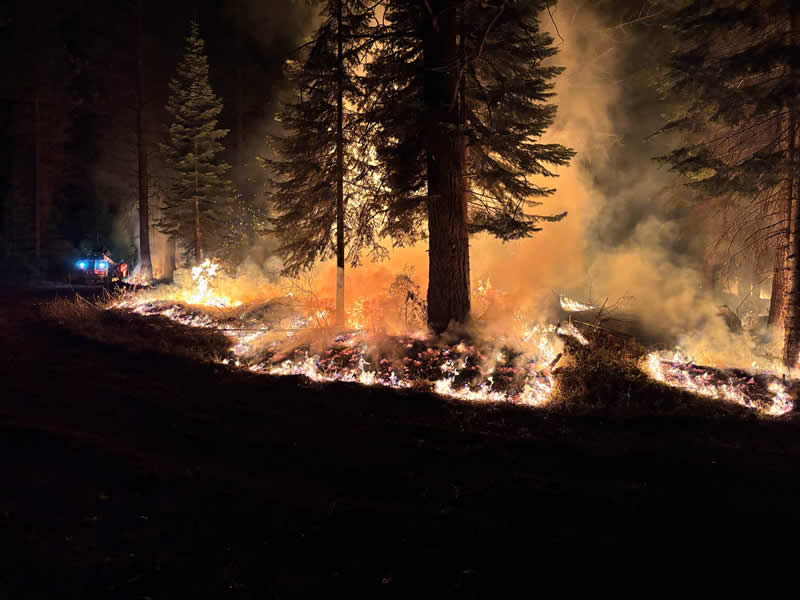 Terra Fuego Resource Foundation