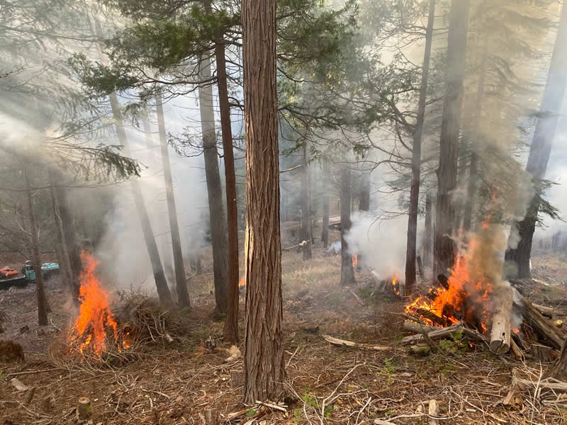 Terra Fuego Resource Foundation