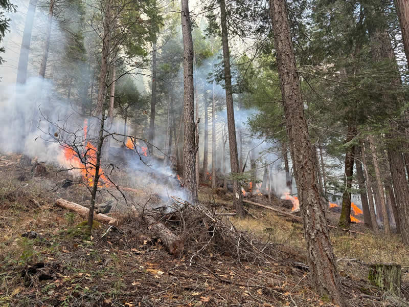 Terra Fuego Resource Foundation