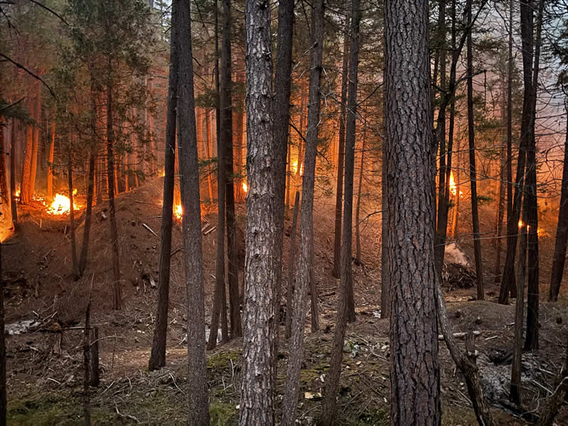Terra Fuego Resource Foundation