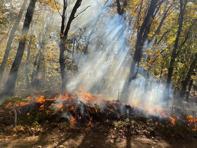 Terra Fuego Resource Foundation