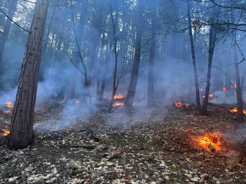 Terra Fuego Resource Foundation