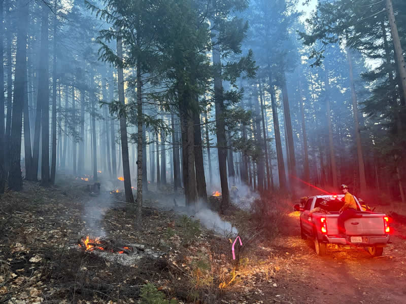 Terra Fuego Resource Foundation