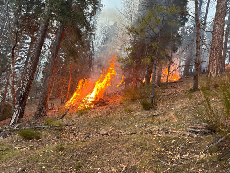Terra Fuego Resource Foundation