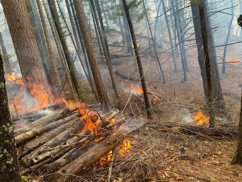 Terra Fuego Resource Foundation