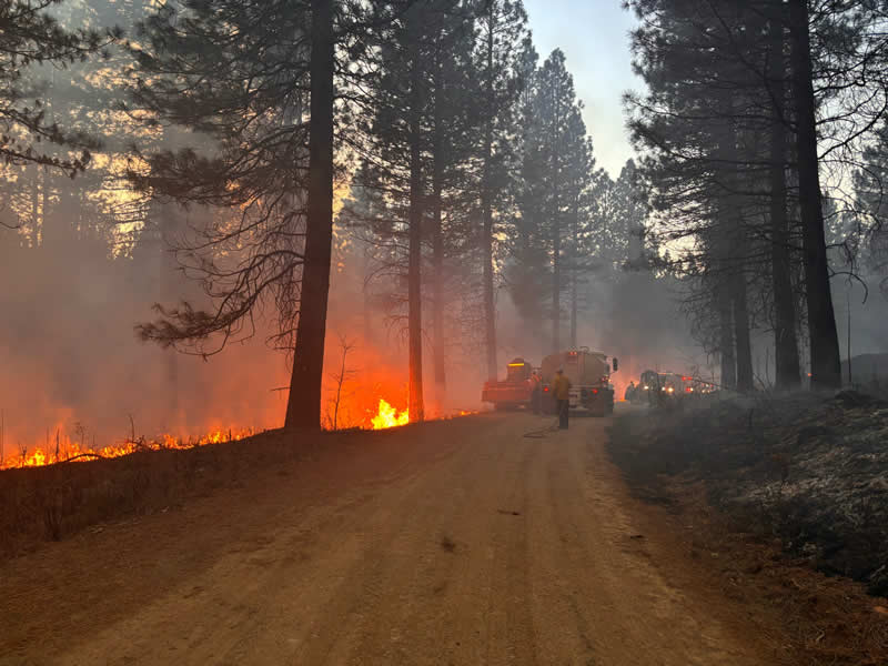 Terra Fuego Resource Foundation