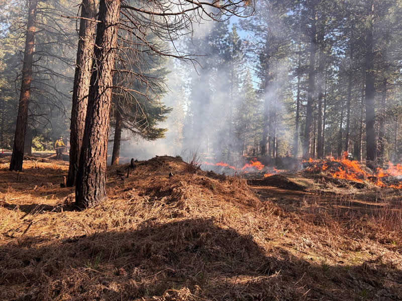 Terra Fuego Resource Foundation