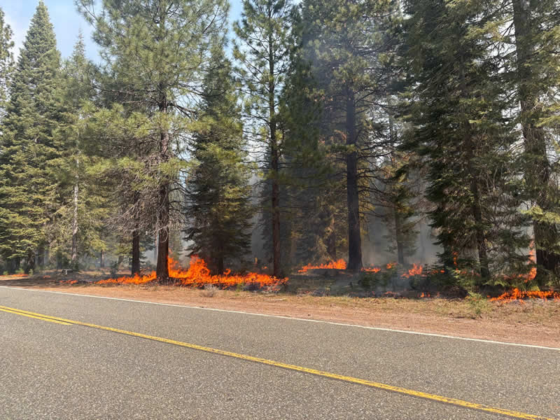 Terra Fuego Resource Foundation