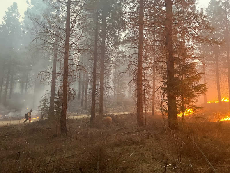 Terra Fuego Resource Foundation
