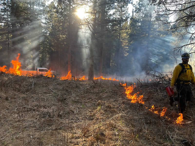 Terra Fuego Resource Foundation
