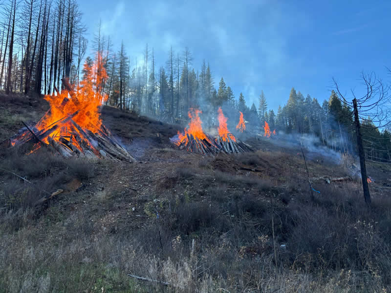 Terra Fuego Resource Foundation