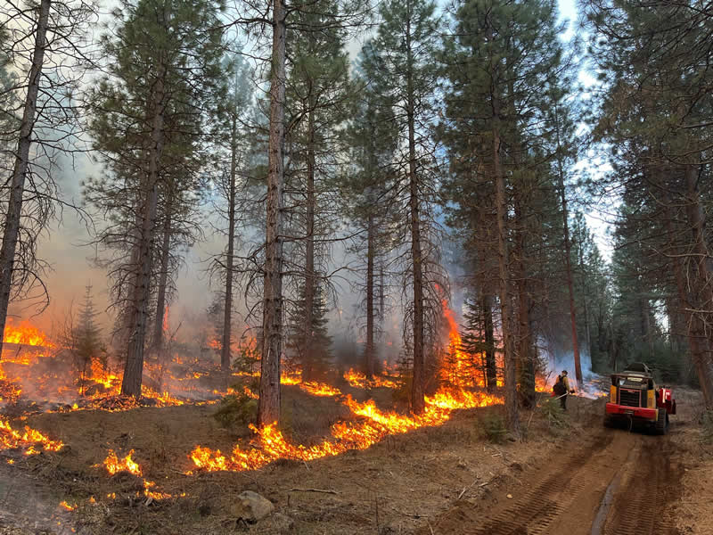 Terra Fuego Resource Foundation