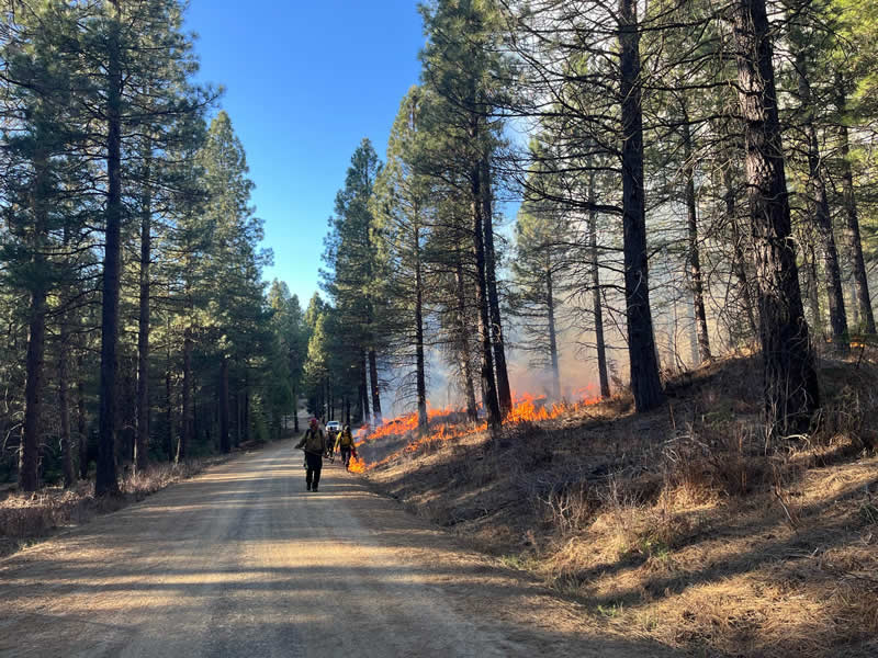 Terra Fuego Resource Foundation