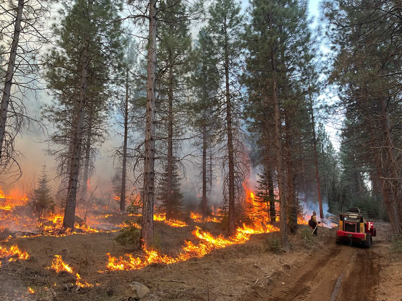 Terra Fuego Resource Foundation