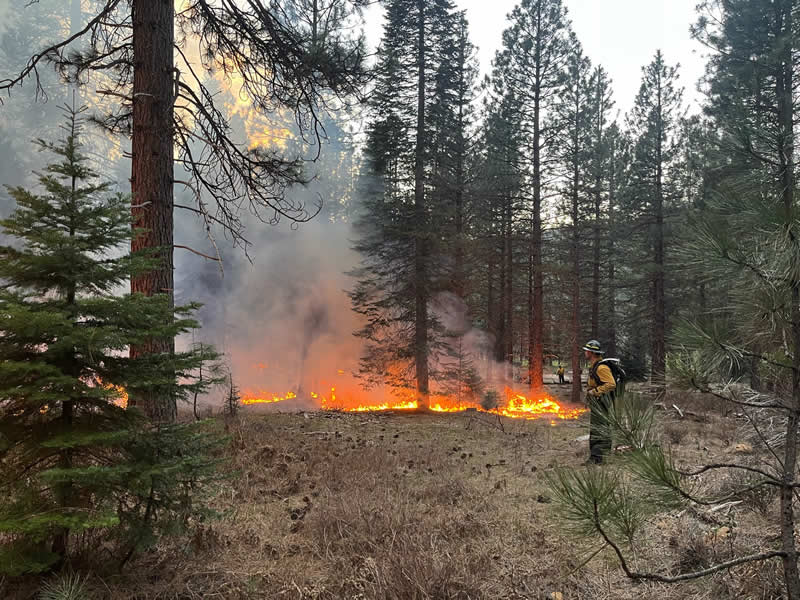 Terra Fuego Resource Foundation