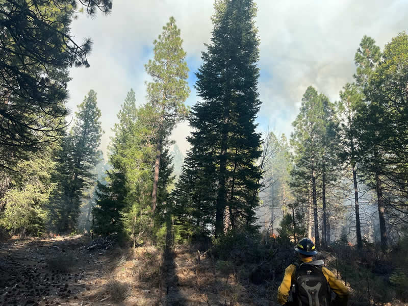 Terra Fuego Resource Foundation