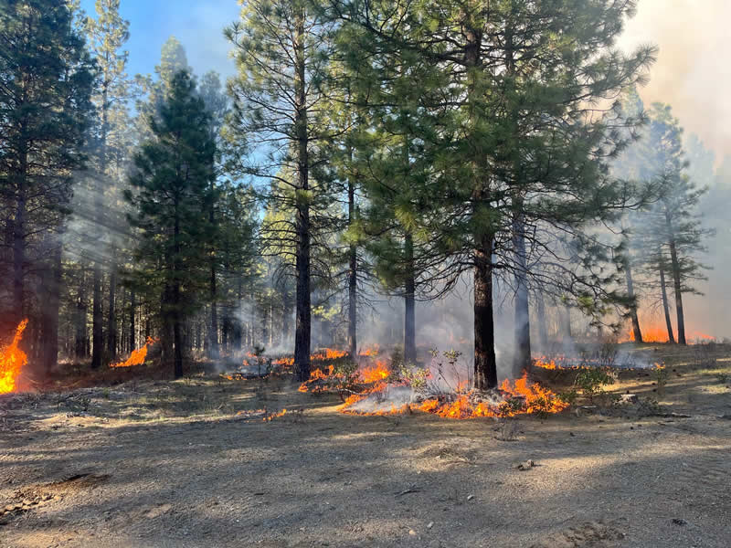 Terra Fuego Resource Foundation