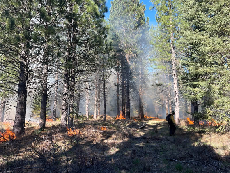 Terra Fuego Resource Foundation