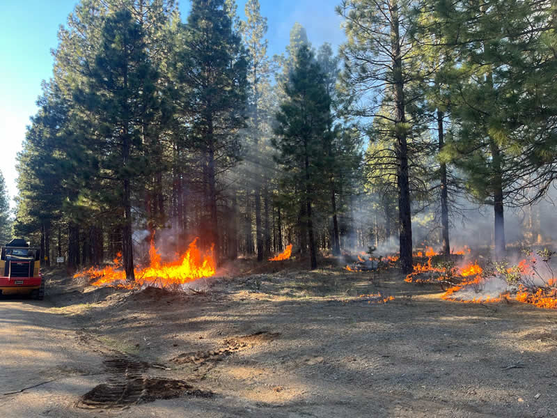 Terra Fuego Resource Foundation