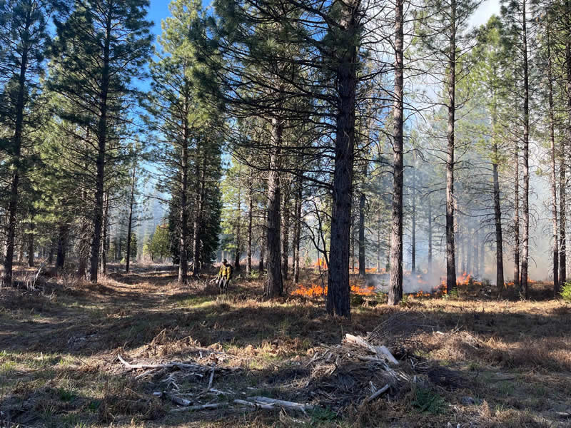 Terra Fuego Resource Foundation