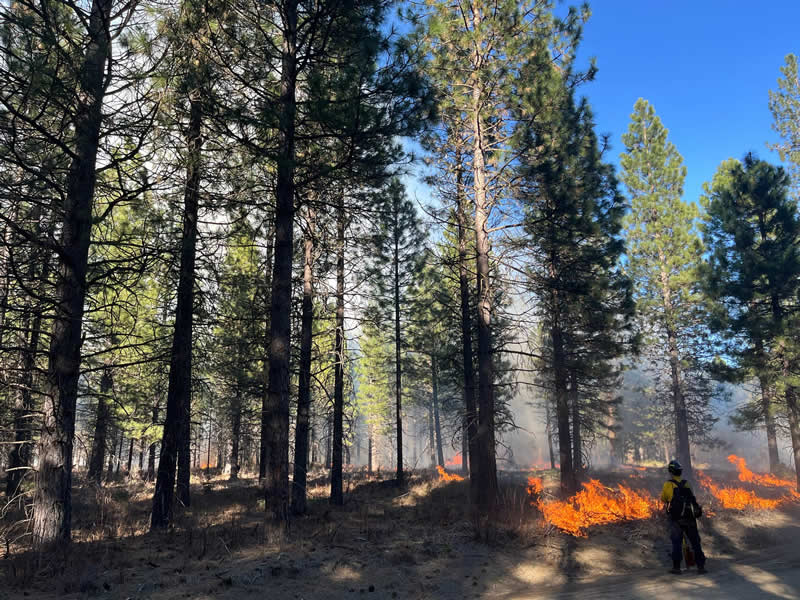 Terra Fuego Resource Foundation
