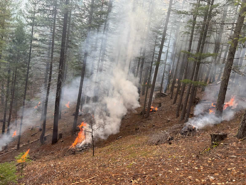 Terra Fuego Resource Foundation