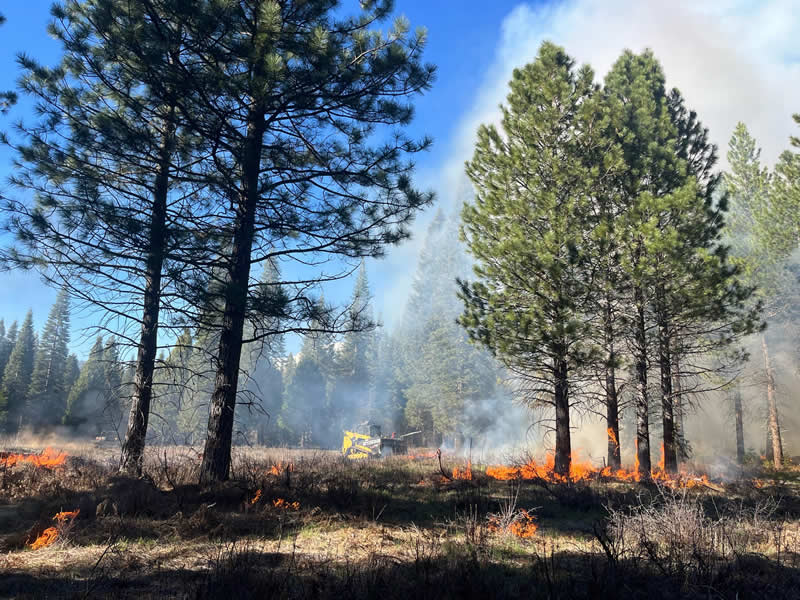 Terra Fuego Resource Foundation
