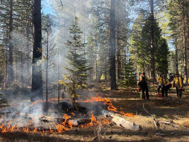 Terra Fuego Resource Foundation