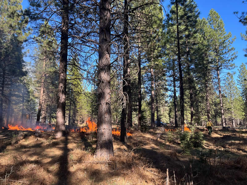 Terra Fuego Resource Foundation