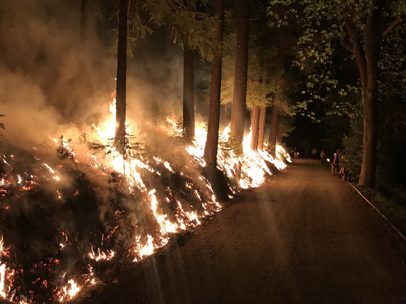 Terra Fuego Resource Foundation