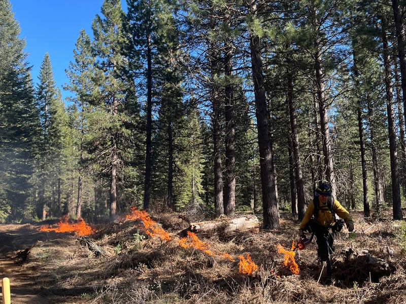 Terra Fuego Resource Foundation