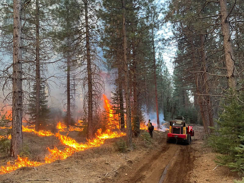 Terra Fuego Resource Foundation