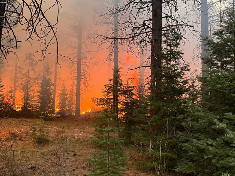 Terra Fuego Resource Foundation