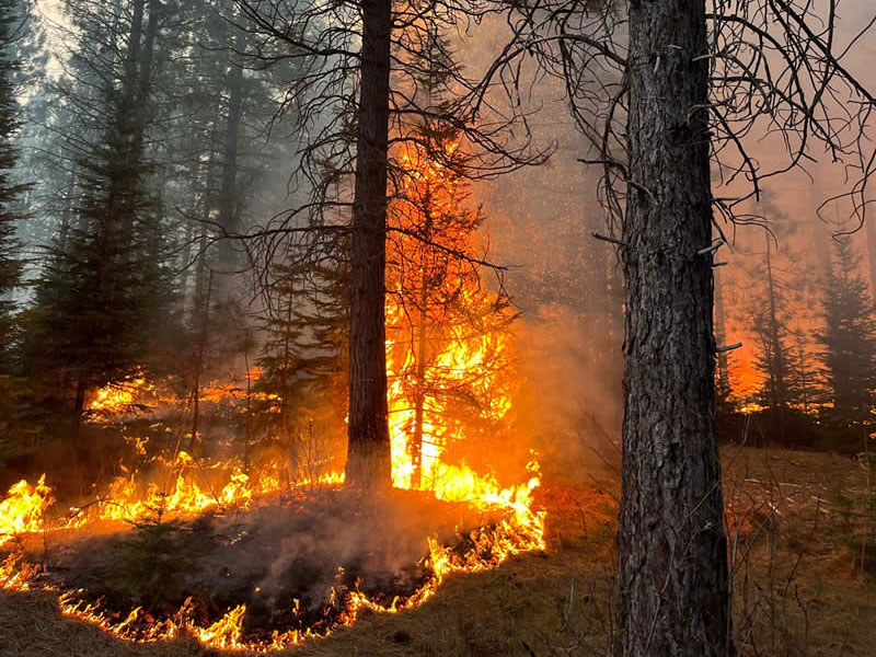 Terra Fuego Resource Foundation