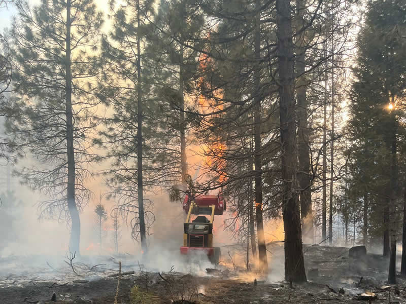 Terra Fuego Resource Foundation