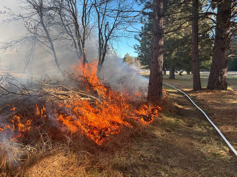 Terra Fuego Resource Foundation