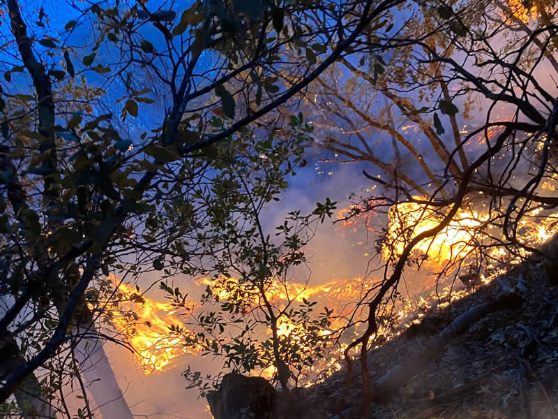 Terra Fuego Resource Foundation