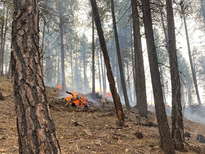Terra Fuego Resource Foundation