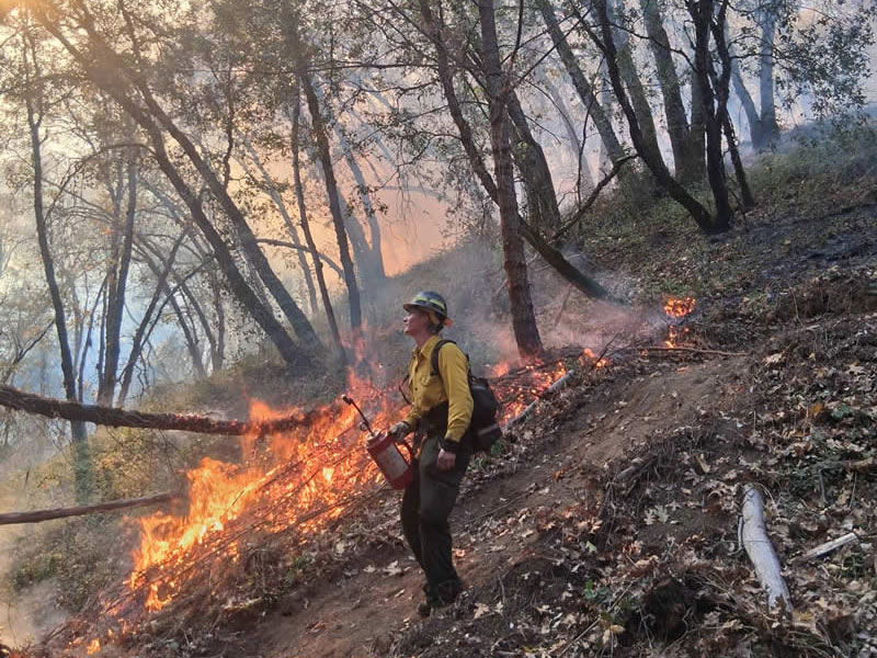 Terra Fuego Resource Foundation