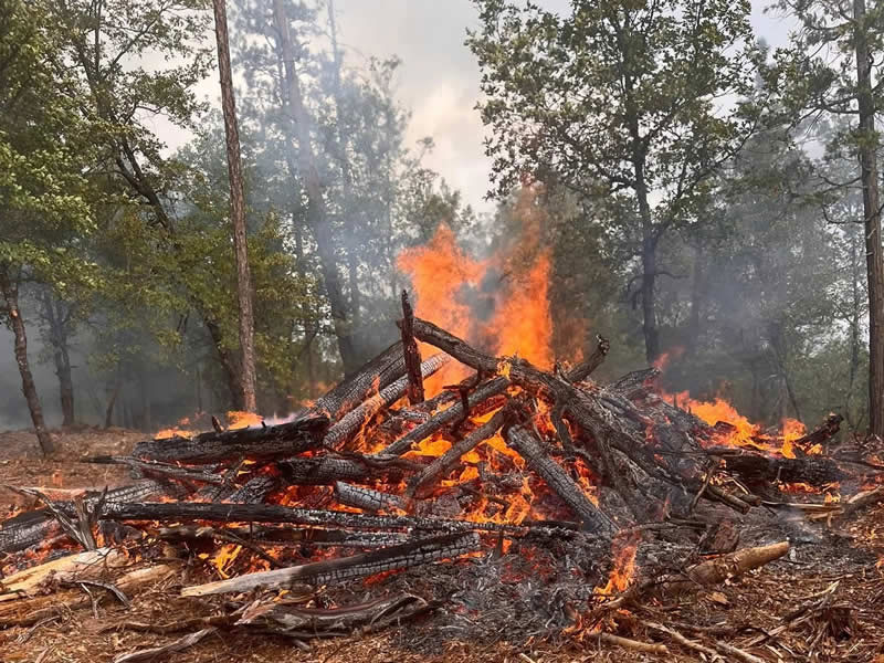 Terra Fuego Resource Foundation