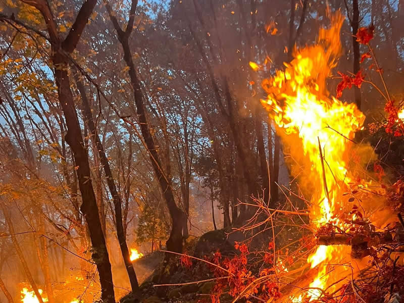 Terra Fuego Resource Foundation