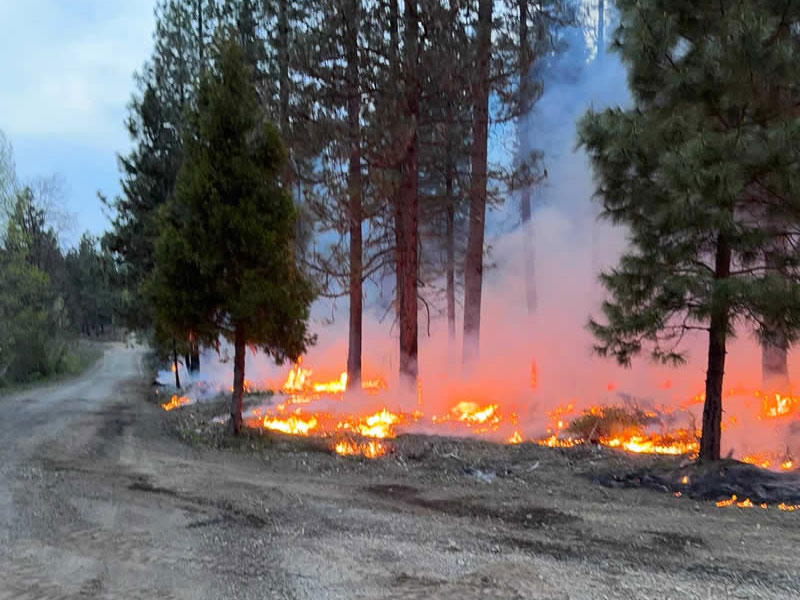 Terra Fuego Resource Foundation