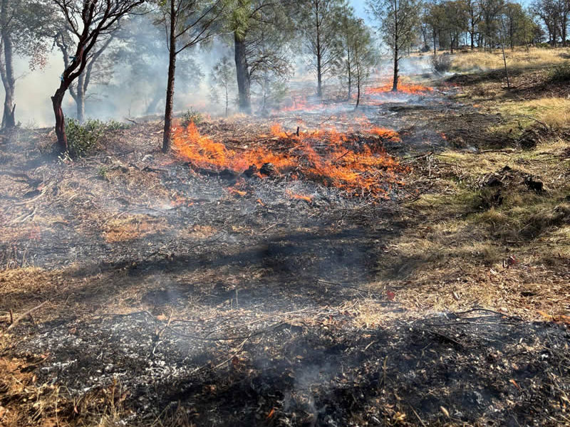 Terra Fuego Resource Foundation