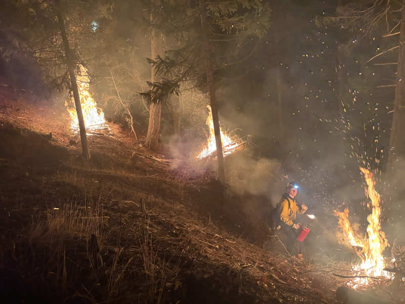 Terra Fuego Resource Foundation